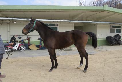 �Ⱦ���Ǽӵ� ����