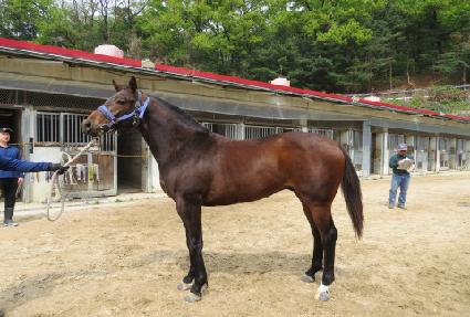 ��º����̵� ����