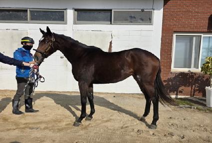 ������Ÿ�̰� ����