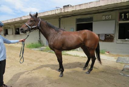 ��񸶸� ����