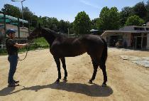 ĳġ���̽� (CATCH RACE) ����