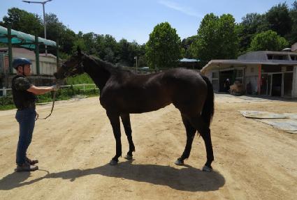 ĳġ���̽� ����