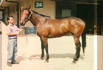 ���� (YOUN TAEK) ����