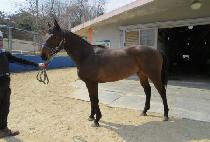 �������Ŀ� (GALAXY POWER) ����