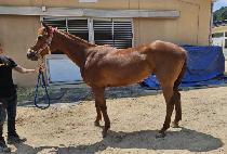 ���������̾� (B.K HIGHER) ����