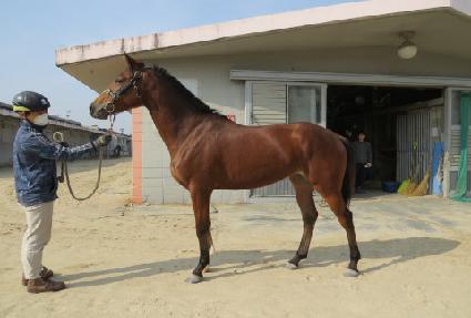 �Ƴ�Ŭ���� ����