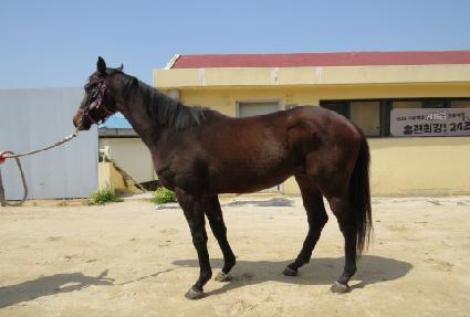 ��Ŭ�������� ����