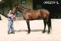 ������ (OE PO RI) ����