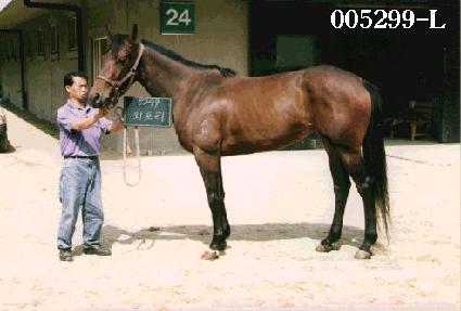 ������ ����