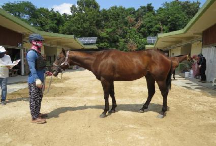 ���丮��ġ ����