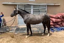 ���������͸� (WORLD FIGHTER MAN) ����