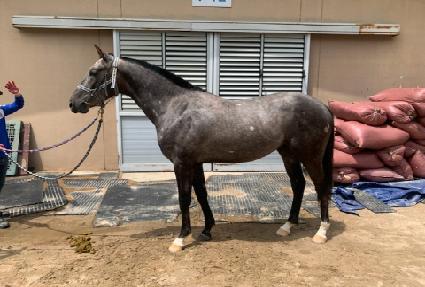 ���������͸� ����