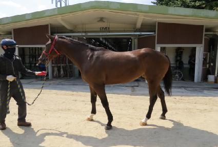 �ڽ����� ����