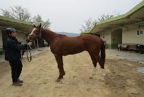 �����Դ� (MUJEOK HAMDAE) ����