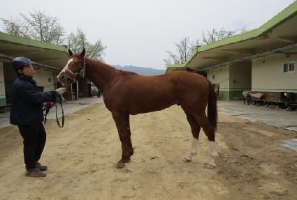 �����Դ� ����