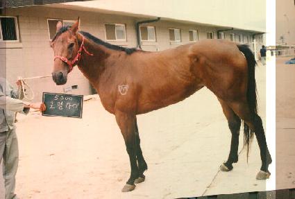 �η����� ����