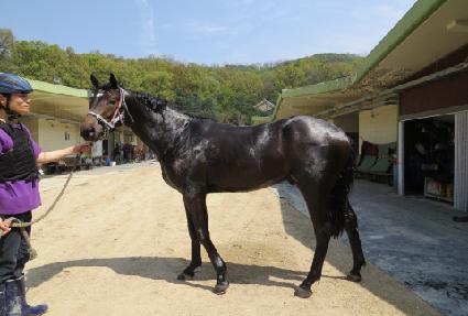 �긮��ĭ ����