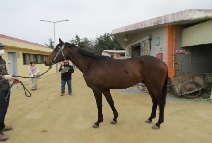 ��������Ʈ�� ����