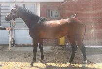 �̽�ƽ�� (MYSTIK JIN) ����