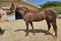 �ô�����Ʈ (ALL THE BEST) ����