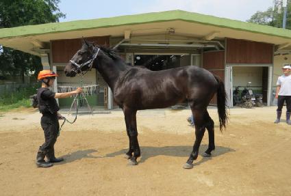 �긮�������� ����