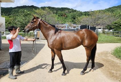 ����Ǻ� ����