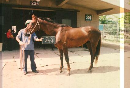 ����� ����