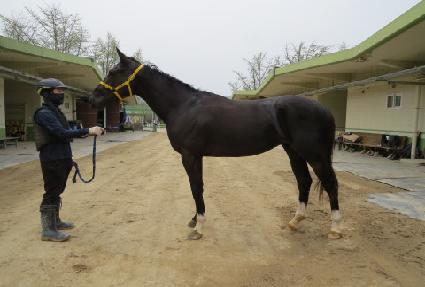 �ż���� ����