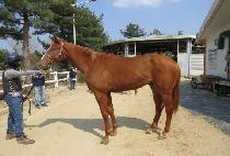 �̾�����Ʈ (EAN PERFECT) ����