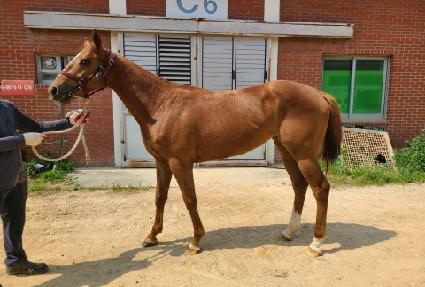 ������ũĹ ����