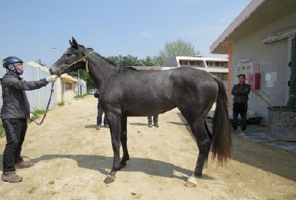 �帲���̾� ����