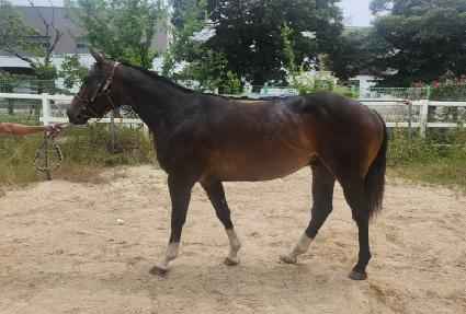 ���÷��� ����