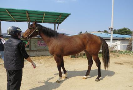 �ż����� ����