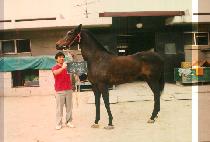 ��縵ũ (BLUE LINK) ����