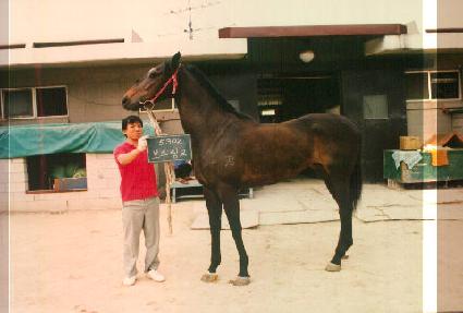 ��縵ũ ����