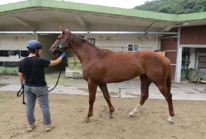 �۴罺ī�� ����