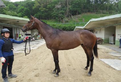 ���̾ƺ�Ʈ ����