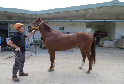 �׷���Ŀ���� ����