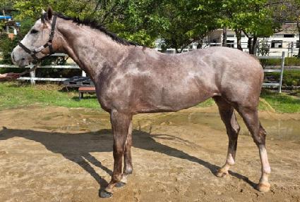 ������ ����