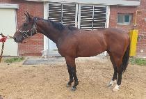 ī�캸�̷� (COWBOY LOOK) ����