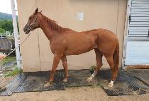 ��������Ʈ (DAEJI IMPACT) ����