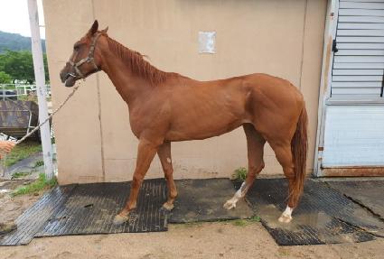 ��������Ʈ ����