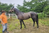 ���̽��ٺ� (ICE BARBELL) ����