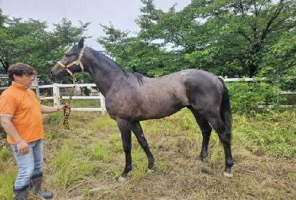 ���̽��ٺ� ����