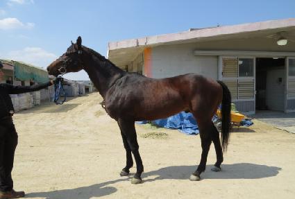 �ӽ�ŶŬ���� ����