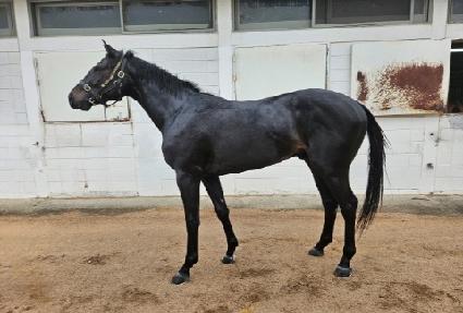 �Ѱ���� ����