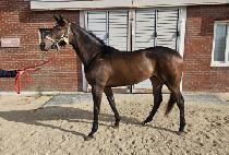 ���ɿ��ε� (BORYEONG ONE ROAD) ����