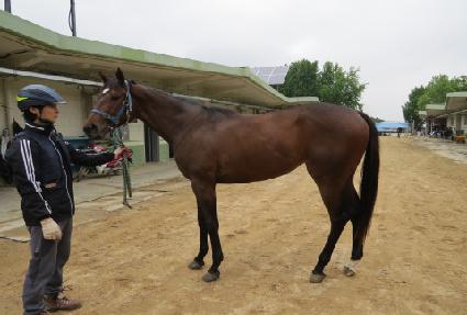 ������� ����