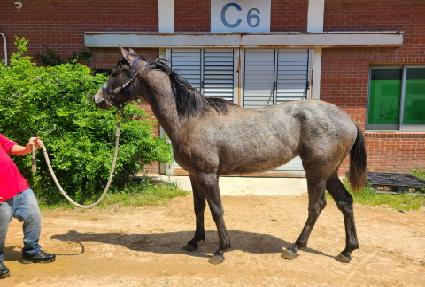 ���ϴ�� ����