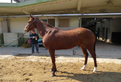 ����¯ ����